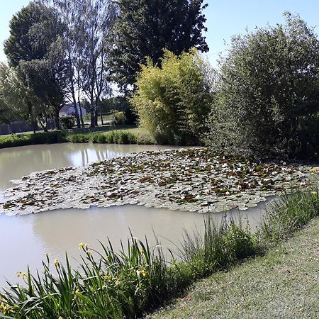 Comme A La Maison Pres Des Chateaux De La Loire Feings  外观 照片