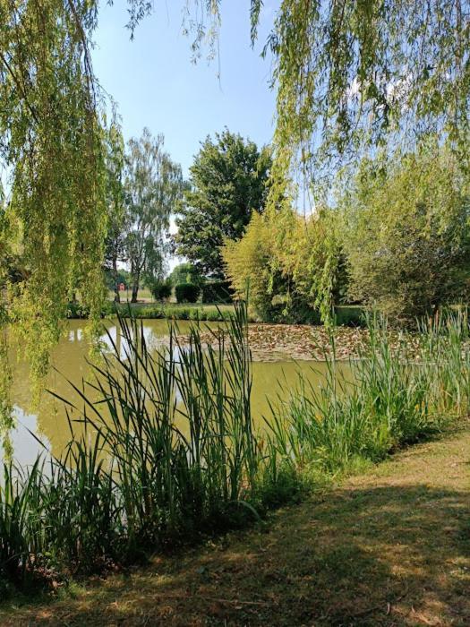 Comme A La Maison Pres Des Chateaux De La Loire Feings  外观 照片