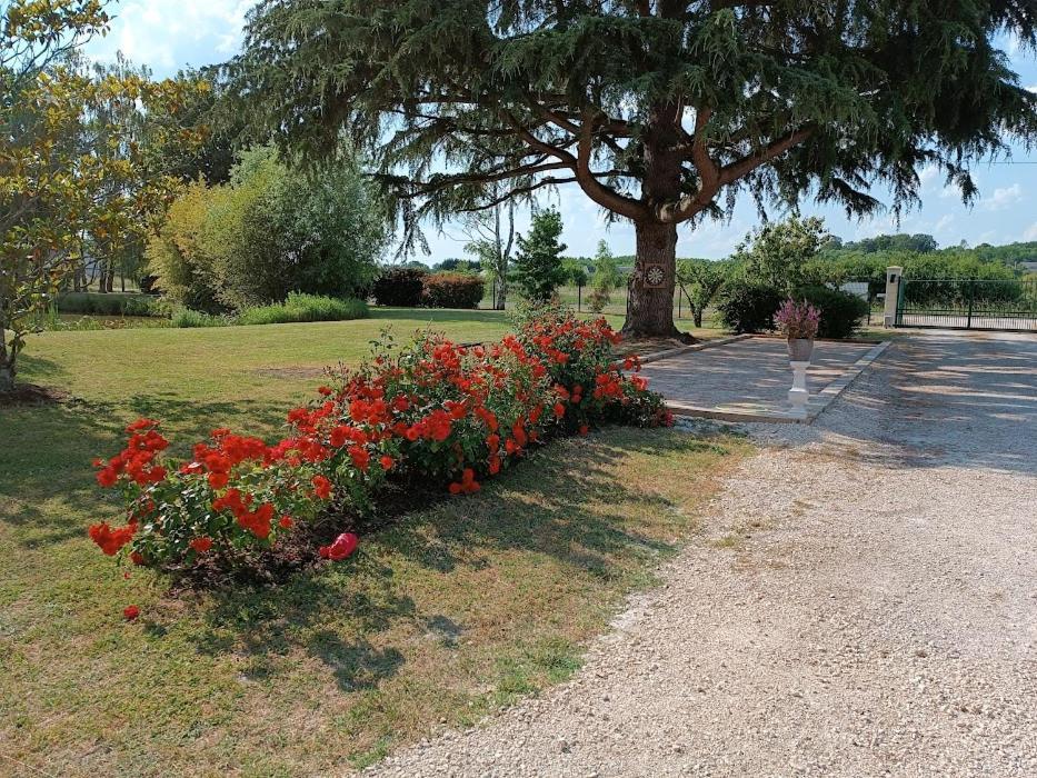 Comme A La Maison Pres Des Chateaux De La Loire Feings  外观 照片