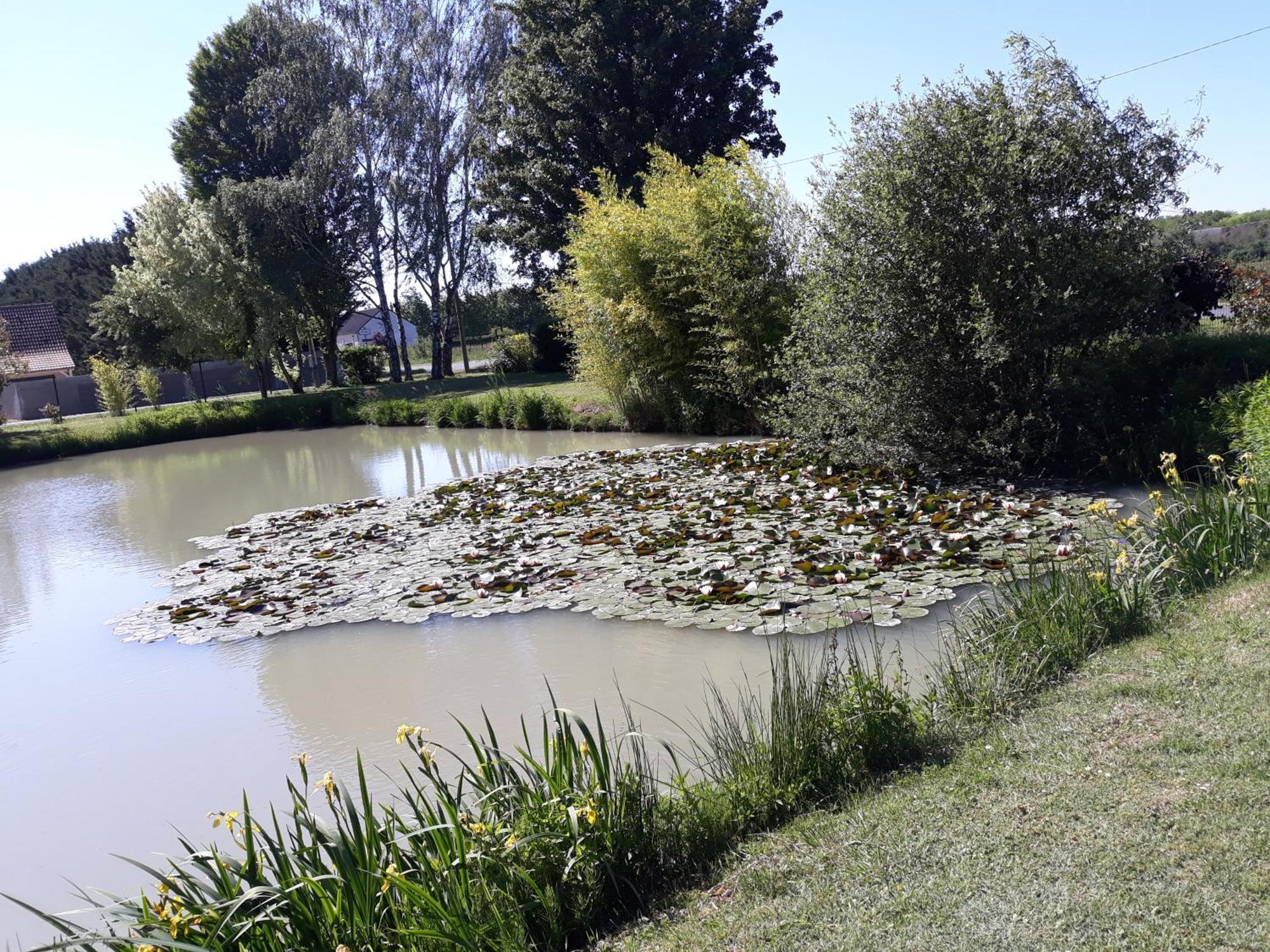 Comme A La Maison Pres Des Chateaux De La Loire Feings  外观 照片